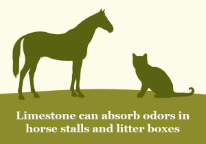 limestone can absorb odors