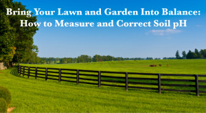 How to Measure and Correct Soil pH