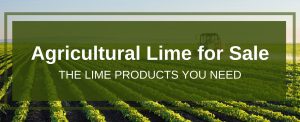 Agricultural Lime for Sale