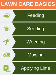 Lawn Care Basics