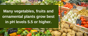 Many vegtables and fruits do best with 5.5 ph or higher