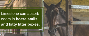 Limestone Can Absorb Odors from Horse Stalls and Kitty Litter