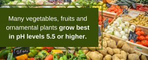 Many plants grow best in pH levels 5.5 or higher