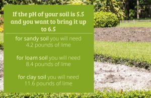 changing soil PH with lime