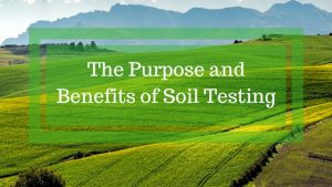 The Purpose and Benefits of Soil Testing