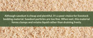 Why sawdust is a poor choice for livestock bedding material