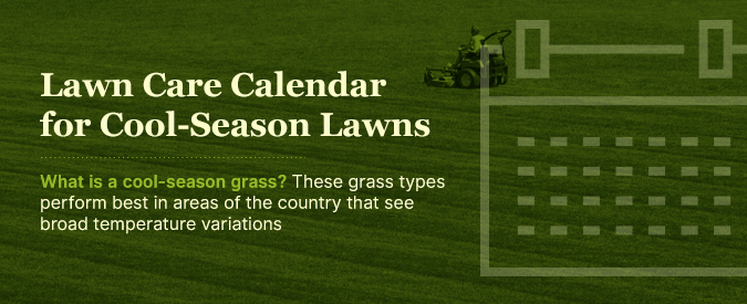 lawn treatment schedule