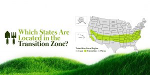 Which States are Located in the Transition Zone