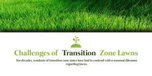 Challenges of Transition Zone Lawns