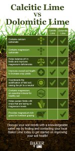 Calcitic Lime Vs Dolomitic Lime Comparison