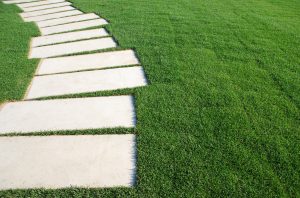 Green healthy grass with a stone pathway