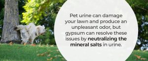 neutralize mineral salts with gypsum