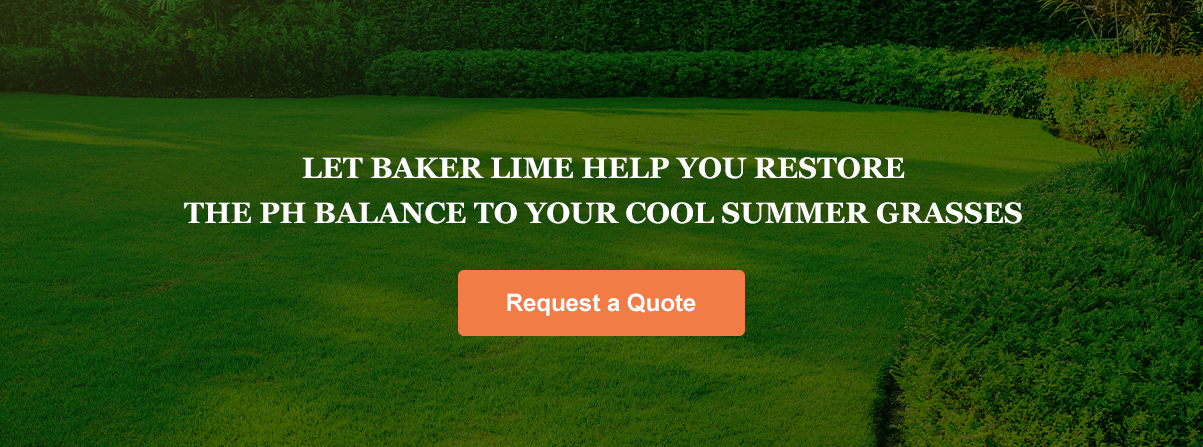 Restore the pH balance of your cool summer grasses.