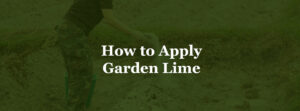 How to apply garden lime