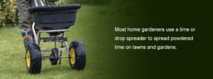 Graphic with person liming their lawn explaining how to apply limestone to a garden